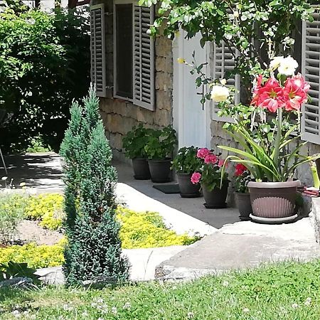 Apartment Jazz Golubac Exterior foto